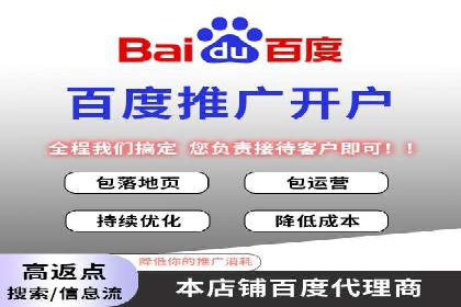 实战解析：百度竞价排名服务成功案例